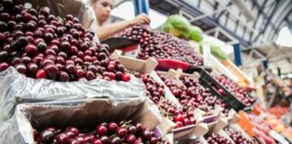 Цены на черешню в Украине не снижаются: сколько стоит ягода на рынках    - today.ua