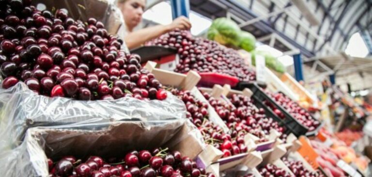 Цены на черешню в Украине не снижаются: сколько стоит ягода на рынках    - today.ua