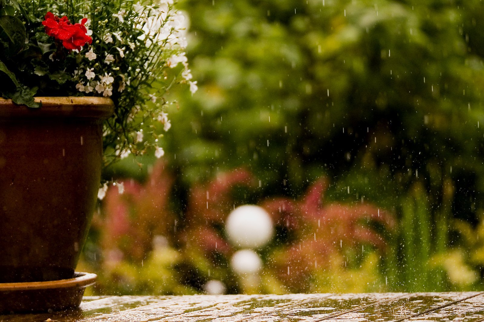 Лето в Украине не будет жарким: синоптики предупредили о похолодании и заморозках