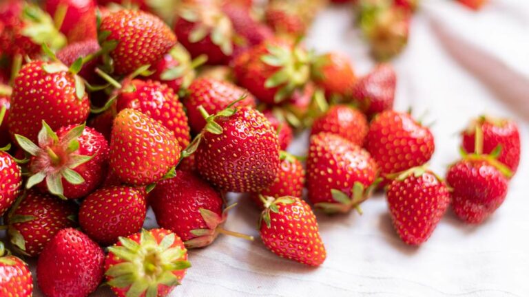 Ціни на полуницю: в Україні з'явилися перші ягоді з відкритого ґрунту - today.ua