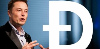 Илон Маск в свой день рождения спровоцировал новый скачок криптовалюты  - today.ua