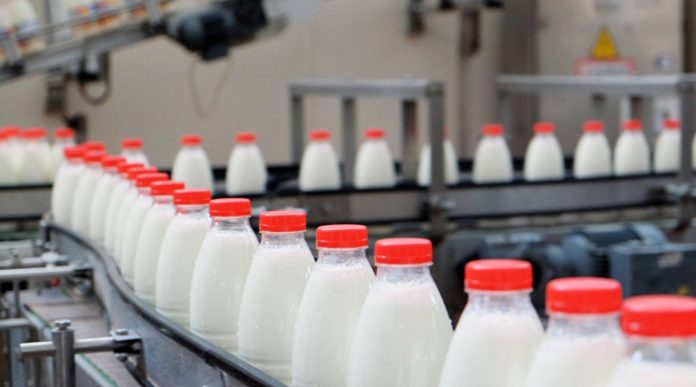 В украинском молоке обнаружили моющие средства: фальсификат не отличить на вкус