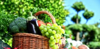 Ученые рассказали, как на глаз распознать наличие вредных химикатов в овощах и фруктах - today.ua
