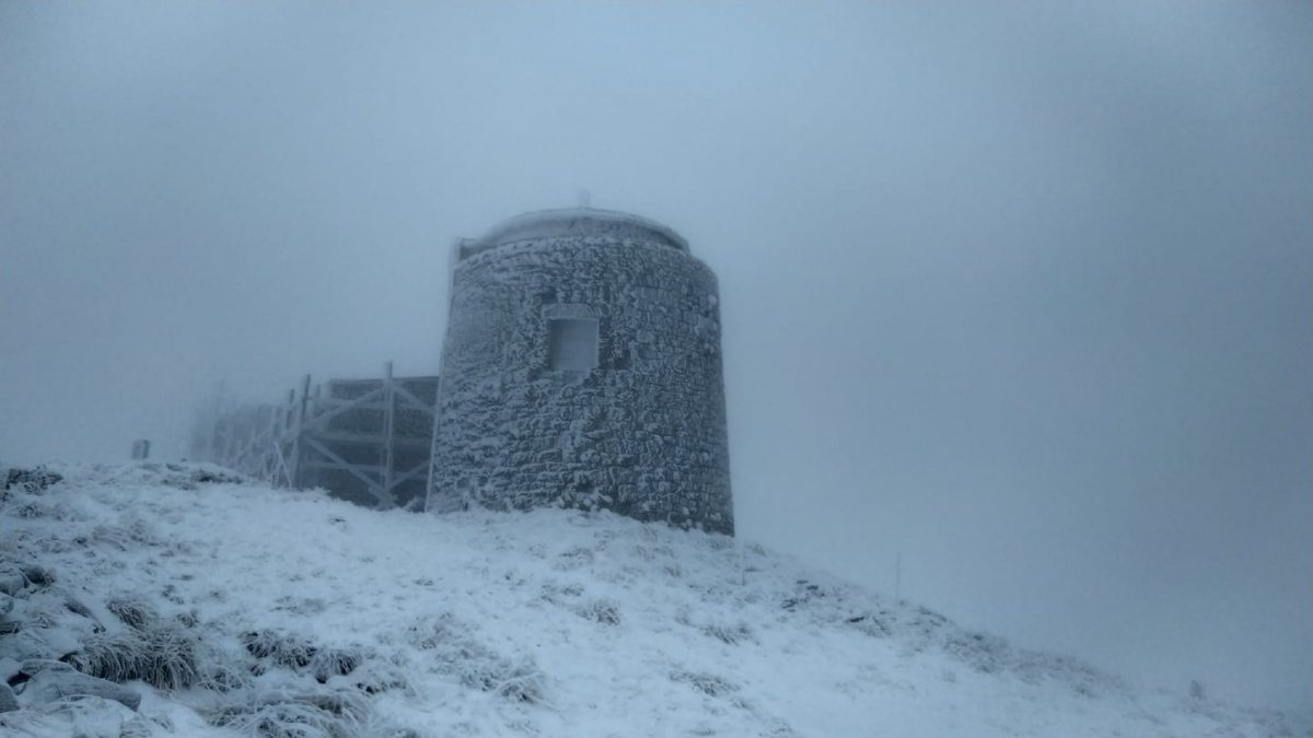 Карпати замело снігом в перший день літа: фото