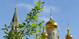 Обряды на Троицу: что нужно успеть сделать за неделю до зеленых праздников       - today.ua