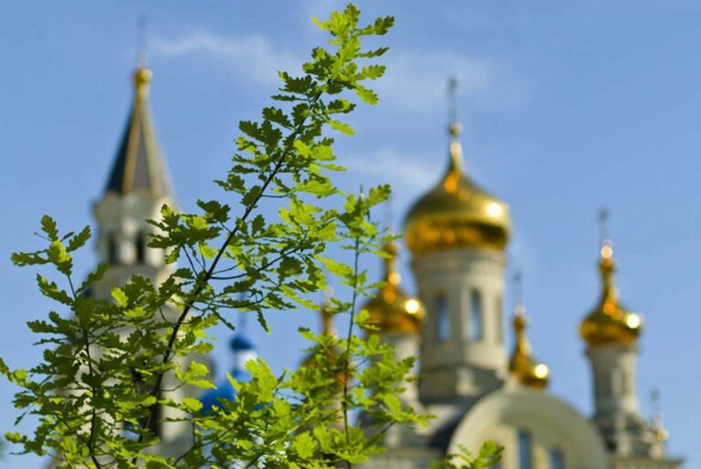 Обряды на Троицу: что нужно успеть сделать за неделю до зеленых праздников       - today.ua