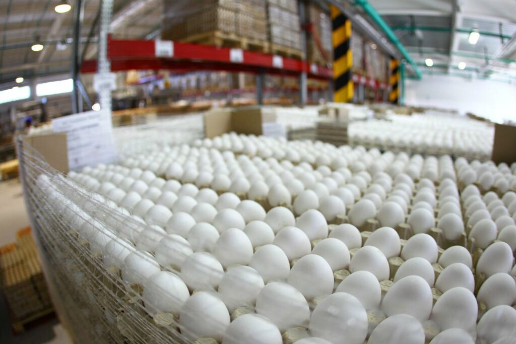 Ціни на яйця в Україні знову виростуть: коли десяток коштуватиме 40 гривень