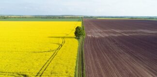 В Україні подорожчали земельні ділянки: скільки коштує гектар у різних регіонах країни - today.ua