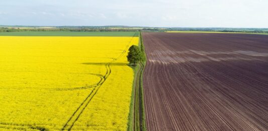 Українцям розповіли про вилучення землі, яку вони не приватизують до кінця року - today.ua