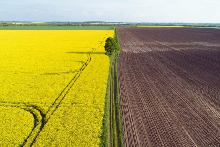 В Украине подорожали земельные участки: сколько стоит гектар в разных регионах страны - today.ua