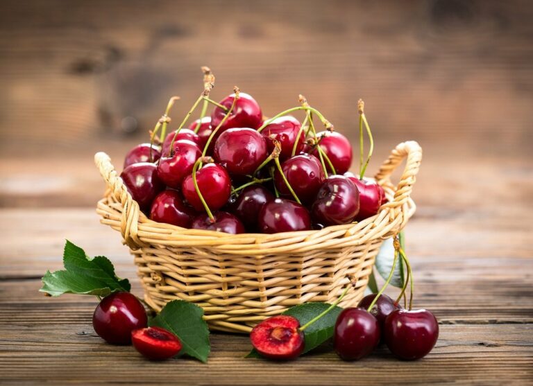 Черешня - эликсир для сердца: Минздрав советует съедать по чашке ягод каждый день - today.ua