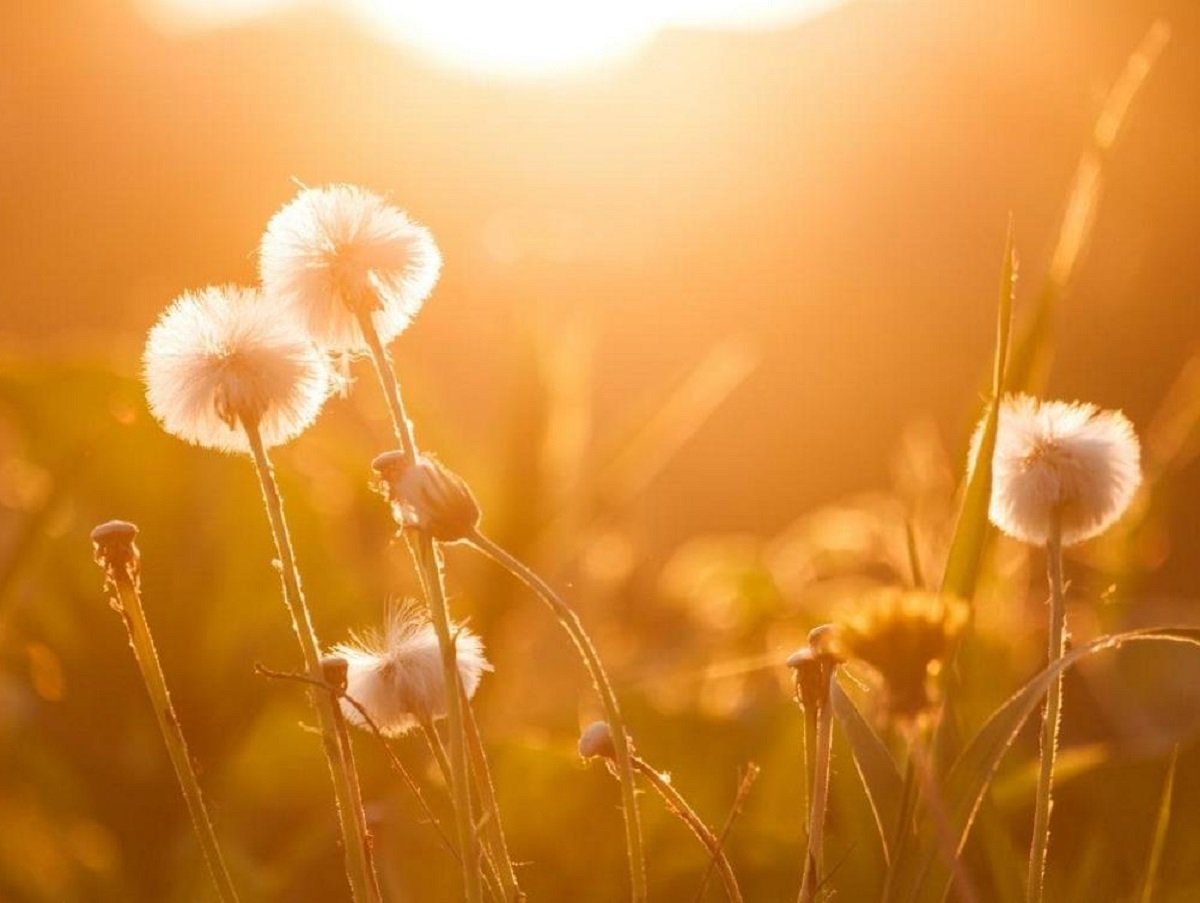 На смену жаре придет холод: прогноз погоды до конца лета удивил жителей Украины - today.ua