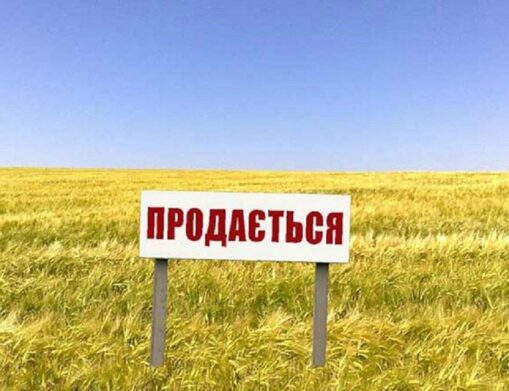 В Украине ужесточат требования к продаже земли юрлицам  - today.ua