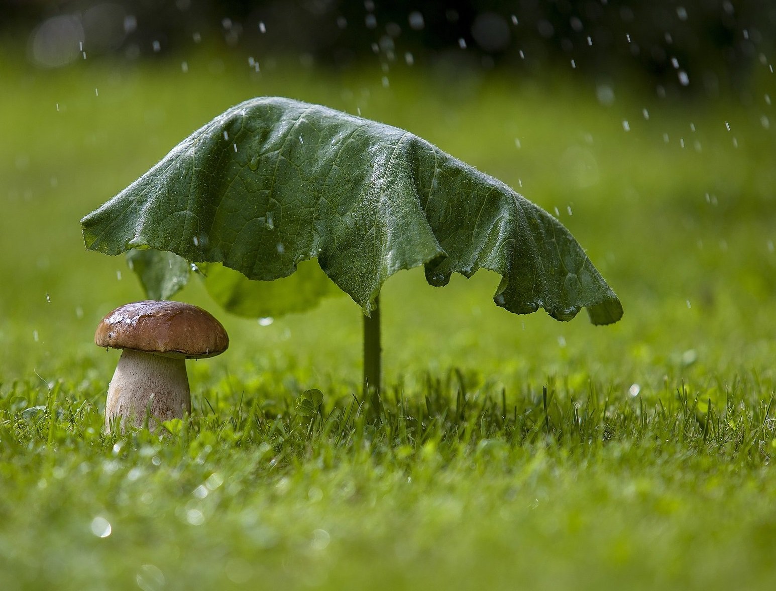 В липні Україна перетвориться в тропіки з ураганами та зливами: прогноз погоди від Леоніда Горбаня - today.ua