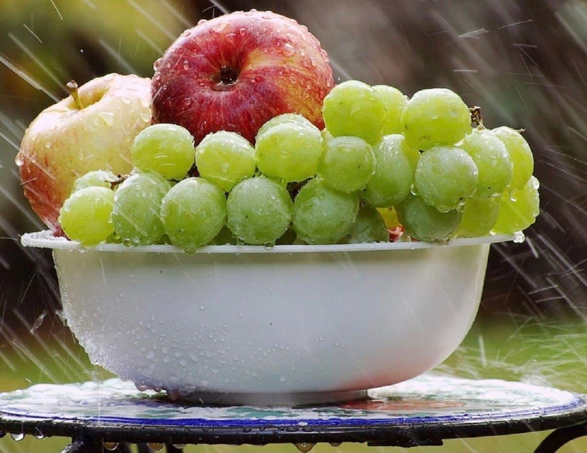 Непогода уничтожила до 50% урожая в Украине: в каких областях сложилась тяжелая ситуация