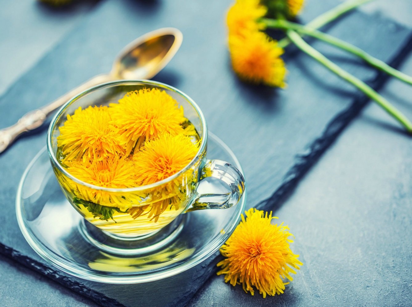Захистить від раку і зцілить печінку: названо найкорисніший трав'яний чай
