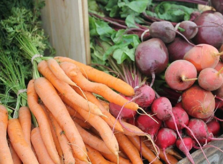 Самая полезная для моркови и свеклы подкормка в июле: корнеплоды вырастут крупными и вкусными - today.ua