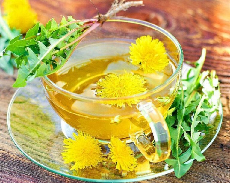 Защитит от рака и исцелит печень: назван самый полезный травяной чай - today.ua
