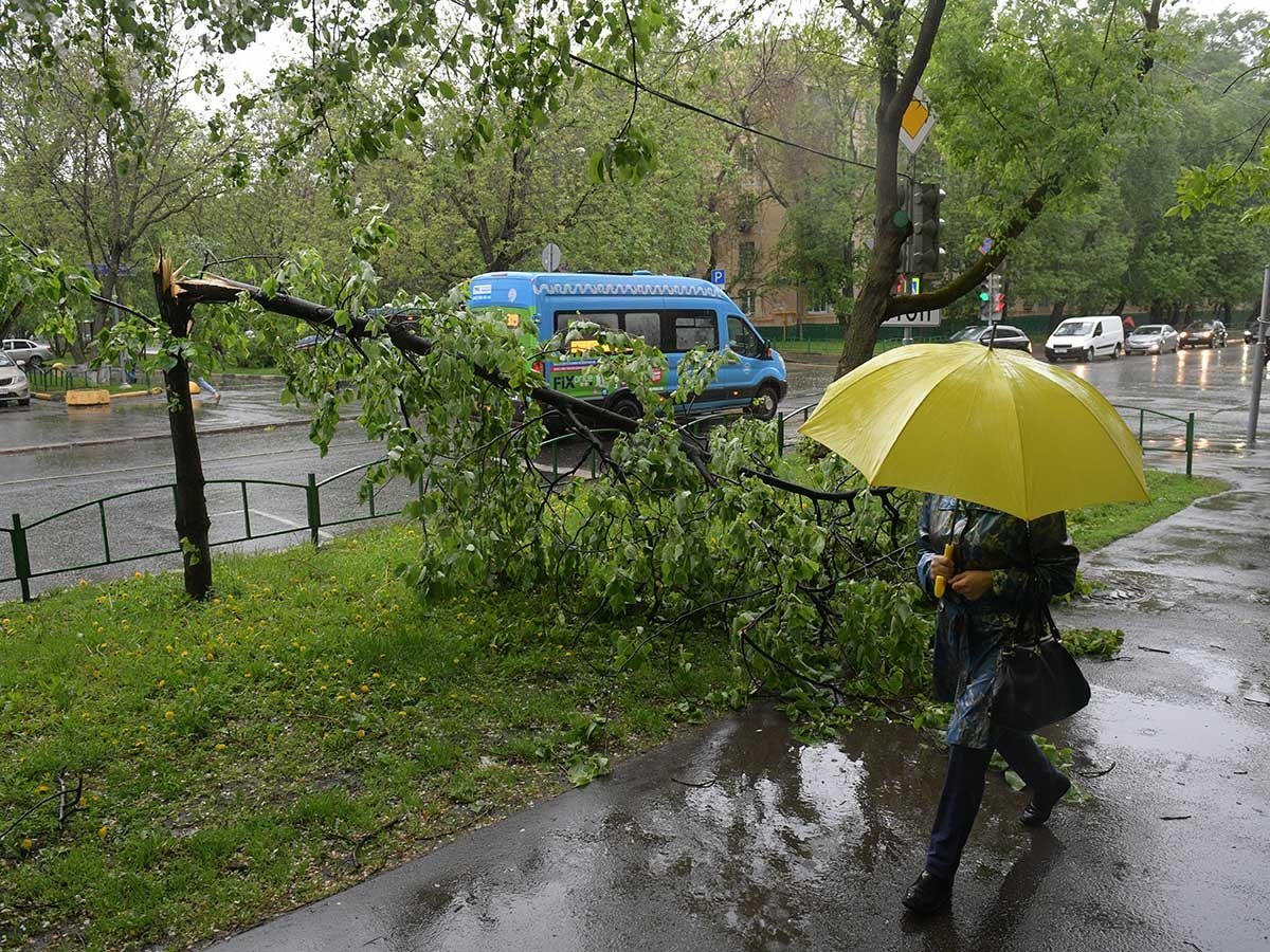 На Украину надвигается непогода: в ГСЧС предупреждают о бурях и наводнениях