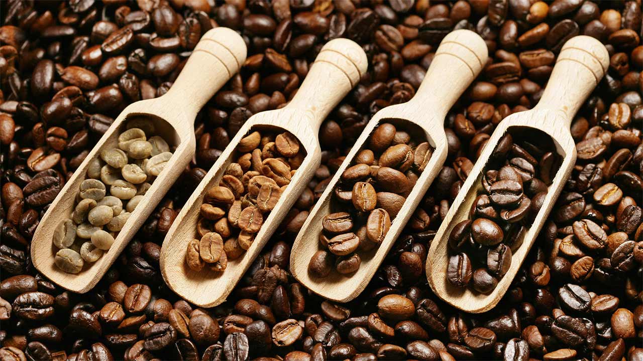 Как выбрать самый вкусный и полезный кофе: названы отличия робусты от арабики 