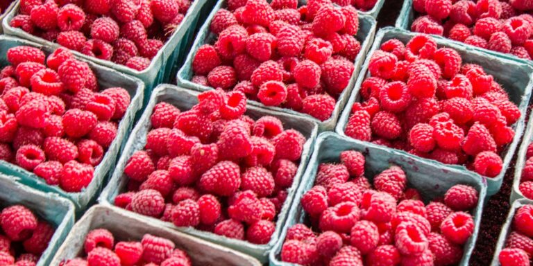 Цены на малину в Украине резко снизились на 60%: сколько стоит ягода на рынках - today.ua