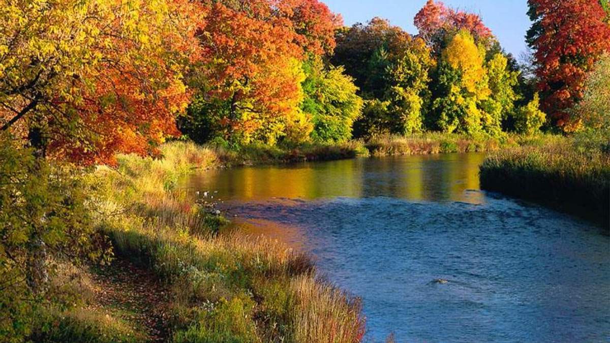 Появился прогноз погоды на осень 2023 года: первые заморозки, тепло, бабье лето - today.ua