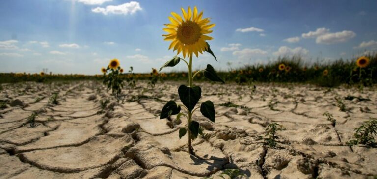 Спека в Україні продовжить бити рекорди: синоптики розповіли про періоди посухи - today.ua