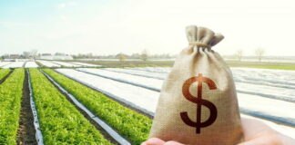 Налог на землю: владельцам и пользователям земельных ресурсов напомнили, сколько они должны заплатить в бюджет до конца года - today.ua