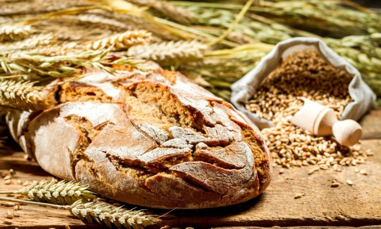 Украина соберет рекордный урожай зерна в 2021 году: что будет с ценами на хлеб     - today.ua