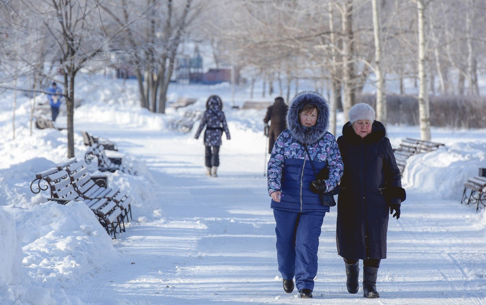 Аномальный январь: синоптики спрогнозировали погоду в Украине в первый месяц 2024 года 
