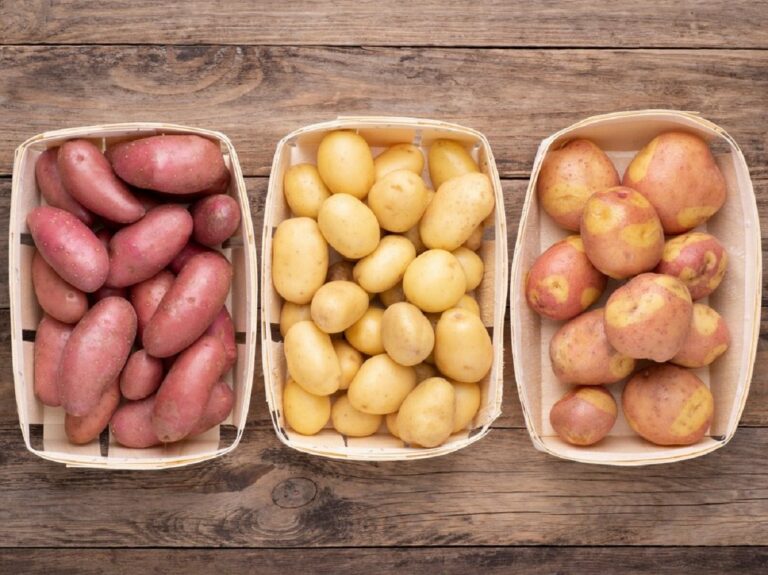 Українці на зиму можуть залишитися без картоплі: ціни на овочі пізнього врожаю будуть космічними - today.ua