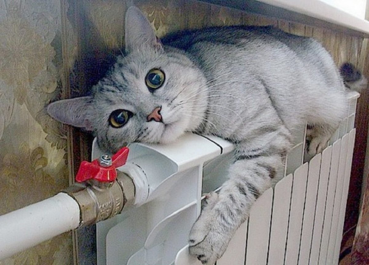 Нафтогаз почав примусово підвищувати тарифи на газ до 70% - today.ua