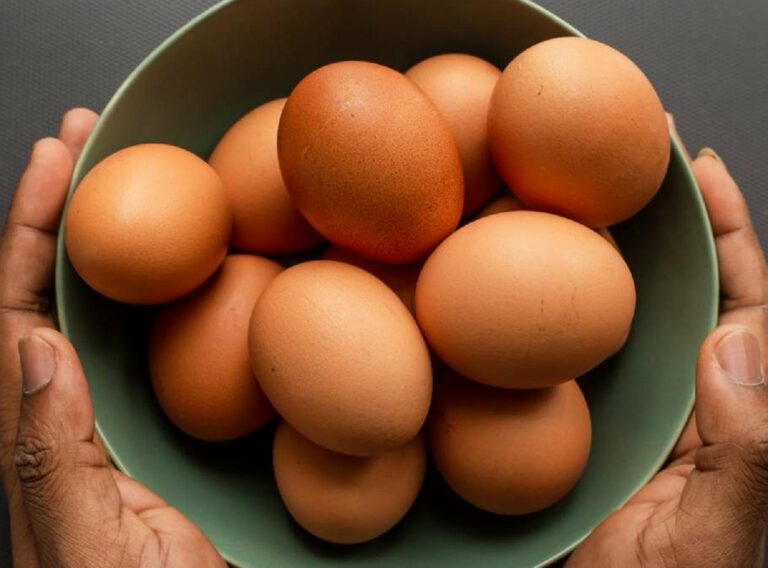 Яйца в Украине начали дорожать: названы основные причины повышения цен - today.ua