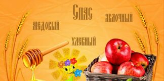 Три Спаса - 2021: дати і найважливіші традиції святкування Медового, Яблучного і Горіхового Спаса - today.ua