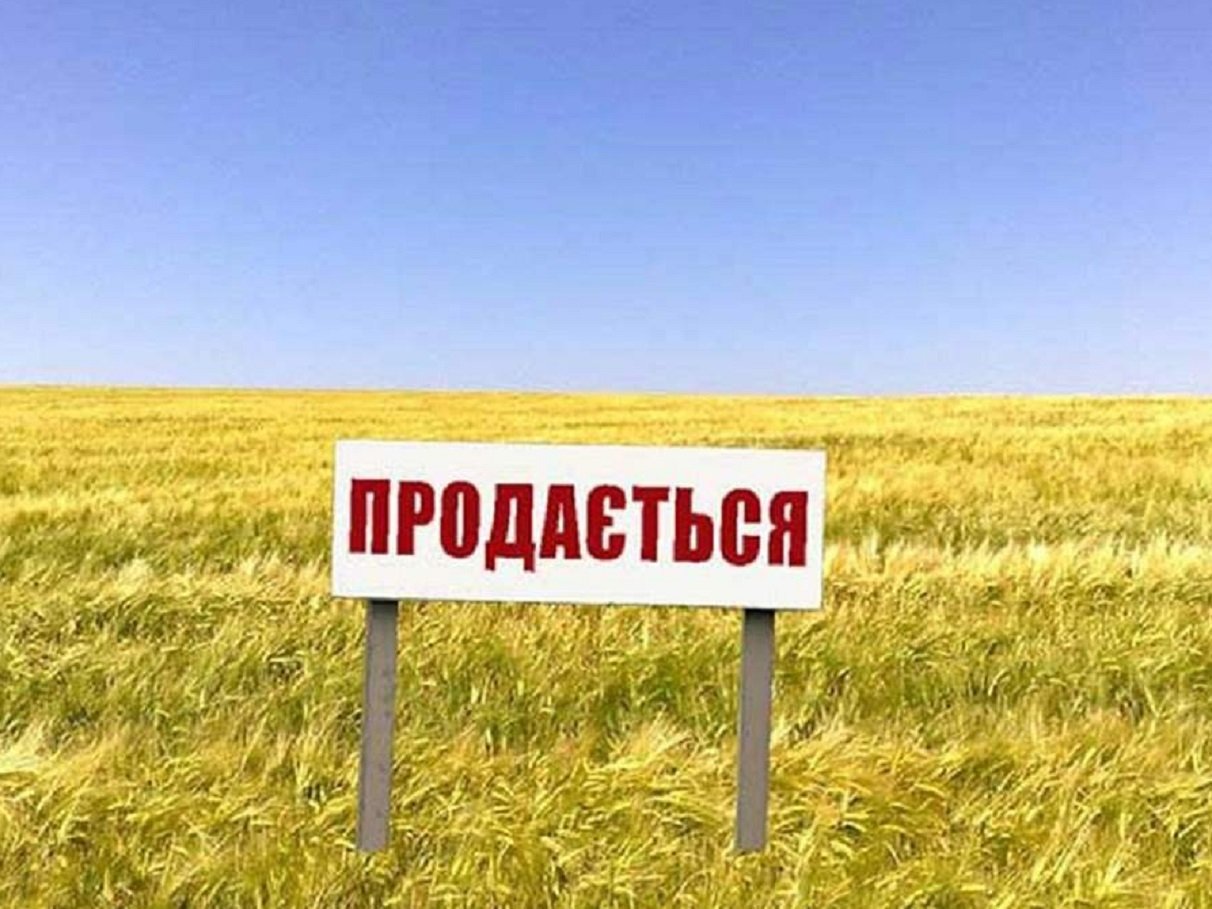 Українці можуть добре заробити на купівлі і продажу землі: основні секрети ринку