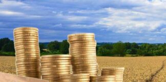 Земельный налог: основные положения закона о ставках, льготах и сроках внесения ежегодного платежа - today.ua