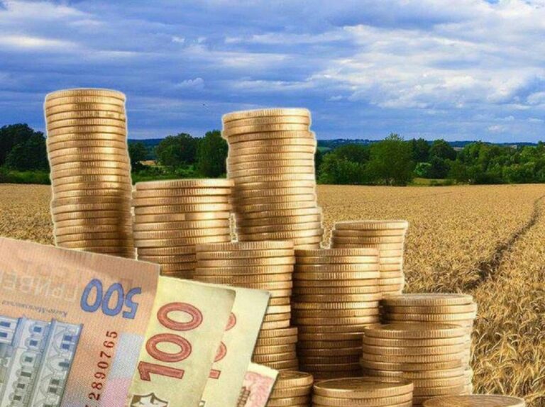 Земельный налог: основные положения закона о ставках, льготах и сроках внесения ежегодного платежа - today.ua