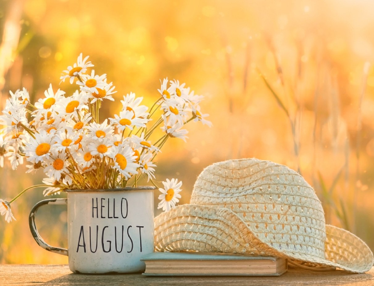 Со следующей недели в Украине ожидаются изменения погоды - новый прогноз от Наталки Диденко - today.ua