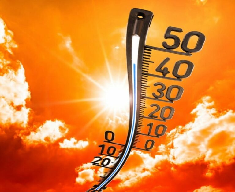 На Україну насувається 35-градусна спека і посуха: прогноз погоди від Наталки Діденко - today.ua