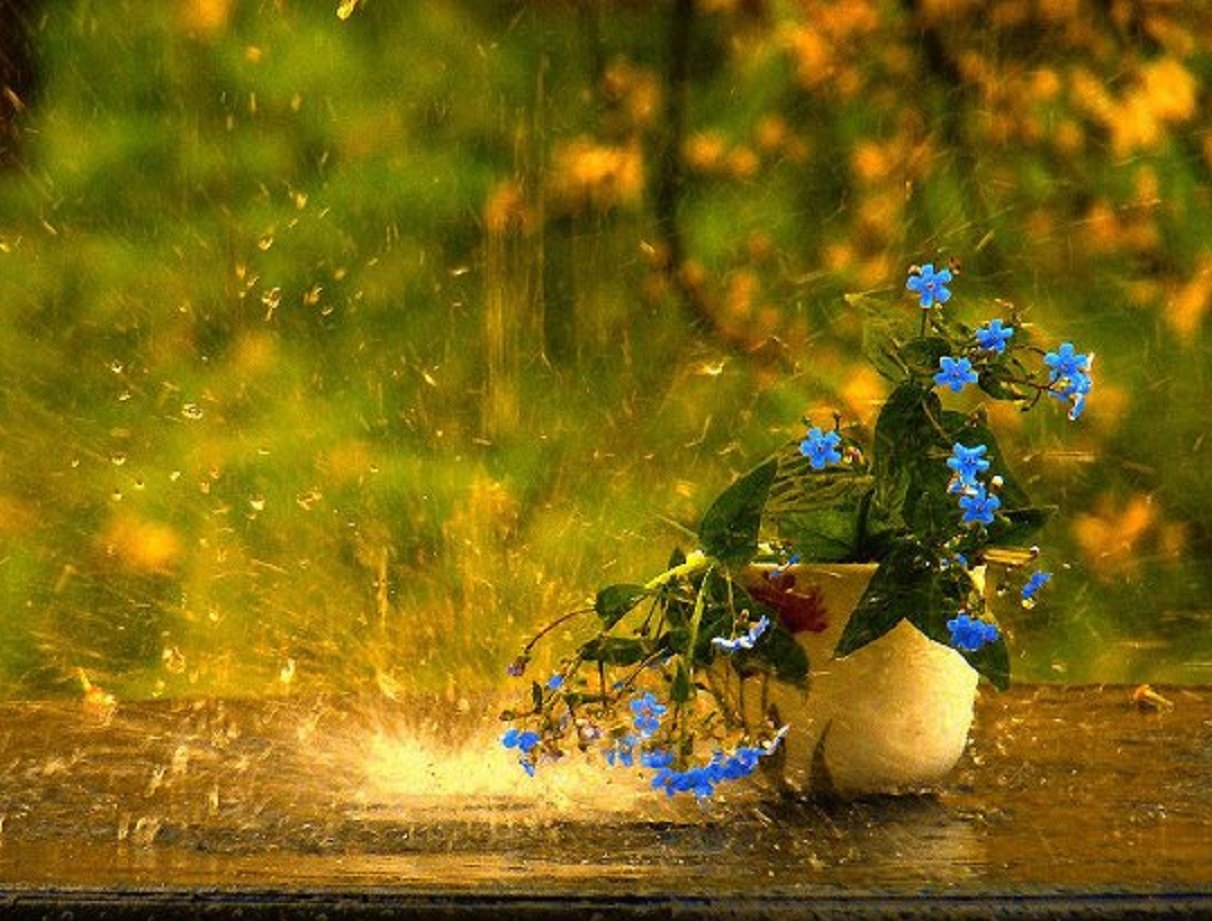 Мощный циклон несет в Украину похолодание до +20 градусов: прогноз погоды от Гидрометцентра - today.ua