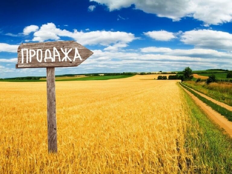 Українці можуть добре заробити на купівлі і продажу землі: основні секрети ринку - today.ua