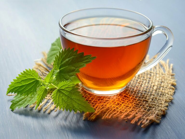Что изменится в организме, если начать пить чай с мятой каждый день - today.ua