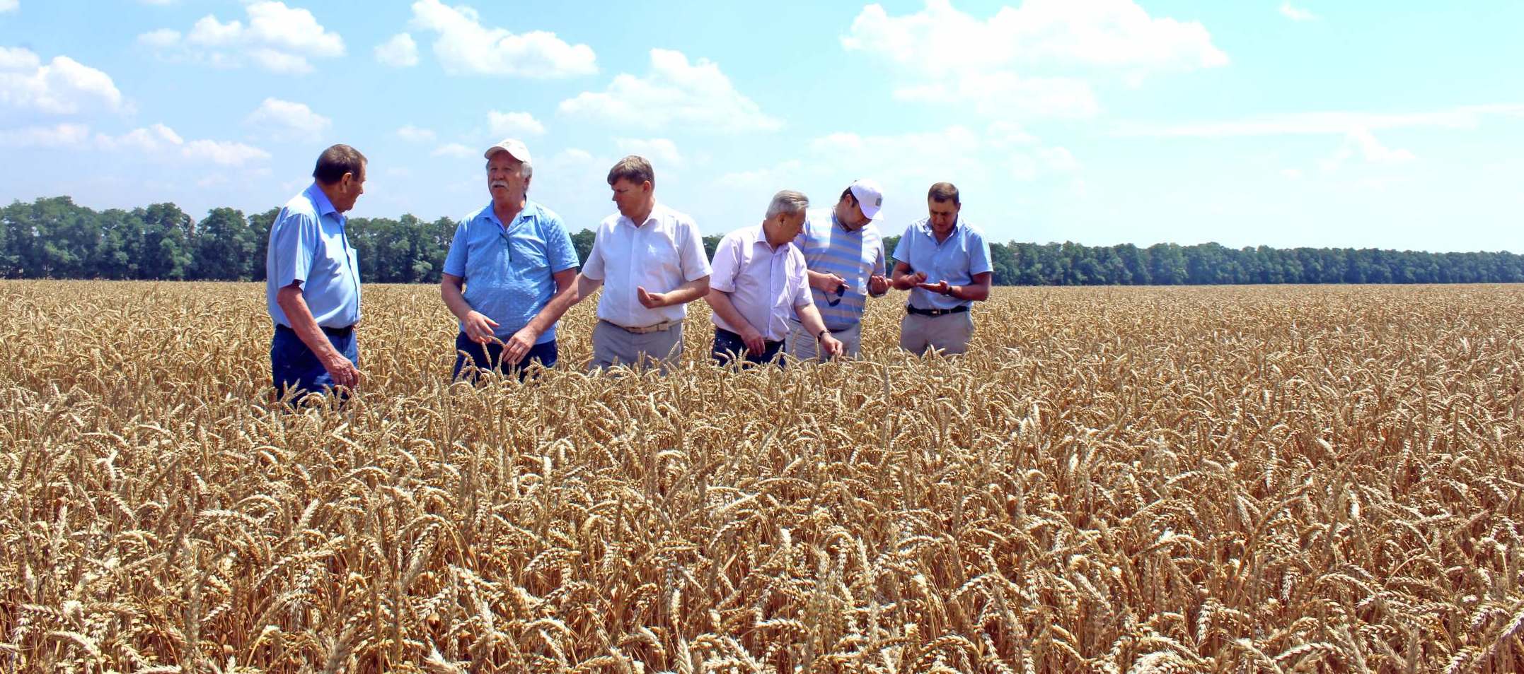 Фермерам в Україні компенсують збитки за втрачений урожай: хто і які виплати отримає