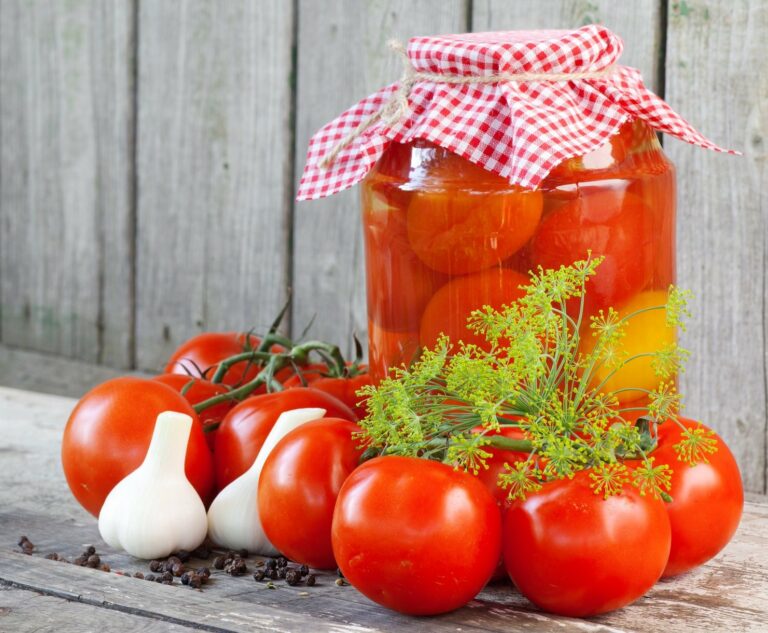 Самая эффективная подкормка для быстрого созревания помидоров: простой рецепт - today.ua