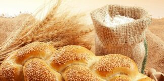 Українцям розповіли, що буде з цінами на хліб після збору рекордних врожаїв пшениці - today.ua