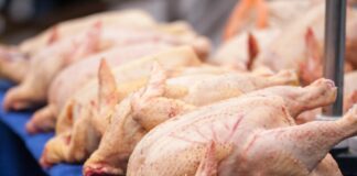 В Україні подорожчала курятина: як відрізняються ціни по регіонах - today.ua