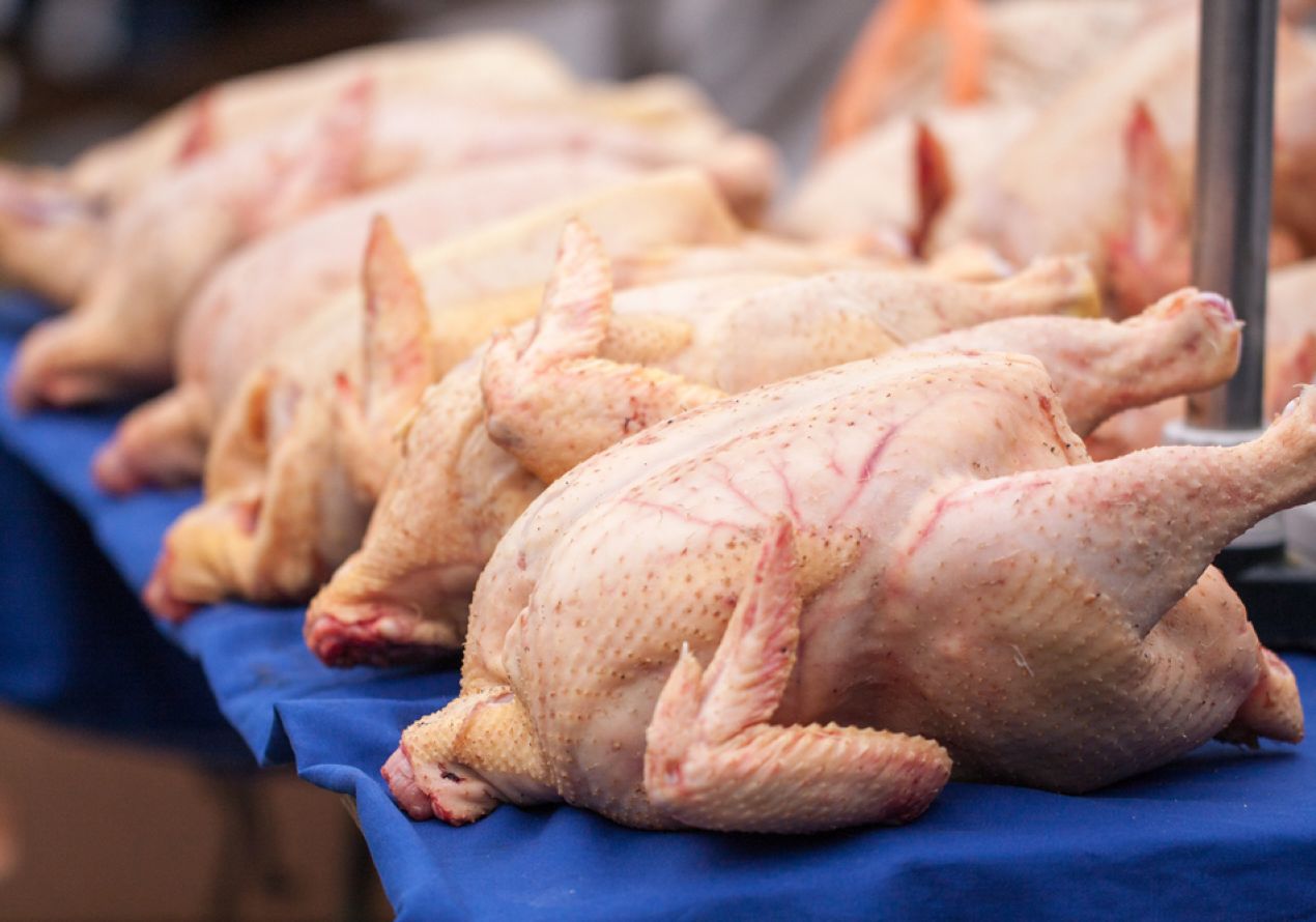В Украине подорожала курятина: цены по регионам - Today.ua