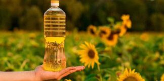 Соняшникова олія в Україні більше не буде дорожчати: як зміняться ціни до кінця 2021 року - today.ua