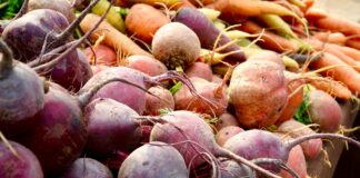В Украине растет дефицит огородных корнеплодов: какими будут цены на овощи борщевого набора - today.ua