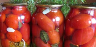 Помидоры на зиму без уксуса: рецепт вкусных томатов для всей семьи - today.ua